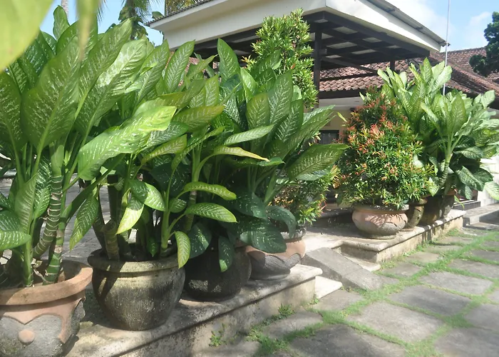 Dewi Sinta And Restaurant 3*